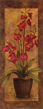 Potted Orchid In Red by T. C. Chiu Pricing Limited Edition Print image
