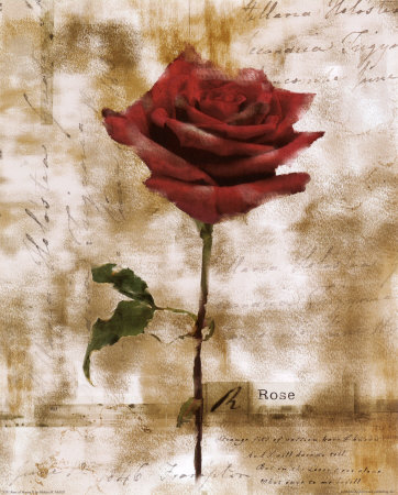 Rose Of Verona Ii by Melissa Mcgill Pricing Limited Edition Print image
