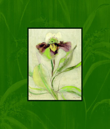 Eastern Florals I by Cheri Blum Pricing Limited Edition Print image