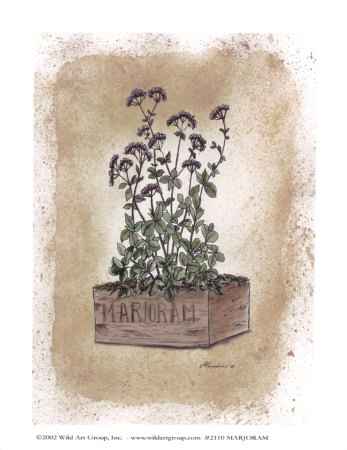 Marjoram by Consuelo Gamboa Pricing Limited Edition Print image