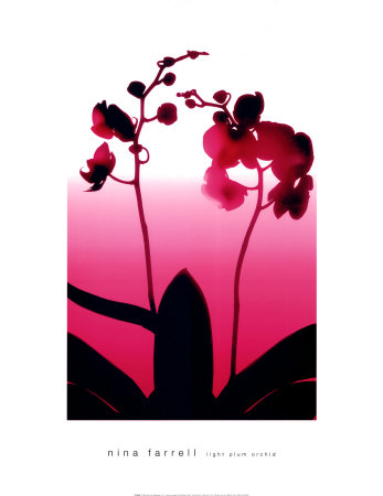 Light Plum Orchid by Nina Farrell Pricing Limited Edition Print image