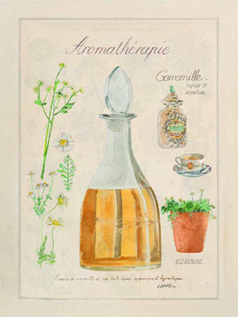 Aromatherapie, Camomille by Laurence David Pricing Limited Edition Print image