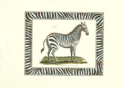 Female Zebra With Zebra Border by Georges-Louis Buffon Pricing Limited Edition Print image