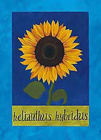Helianthus Hybridus by Sue Allen Pricing Limited Edition Print image
