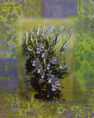 Fines Herbes Iii by Giancarlo Riboli Pricing Limited Edition Print image