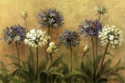 Agapanthus by Danhui Nai Pricing Limited Edition Print image