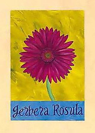 Gerbera Rosula by Sue Allen Pricing Limited Edition Print image