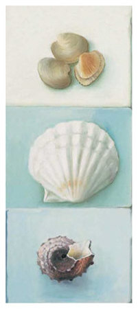 Shell Selection Iii by Milieu Du Ciel Pricing Limited Edition Print image