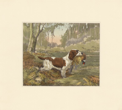 Springer And Pheasant by Reuben Ward Binks Pricing Limited Edition Print image