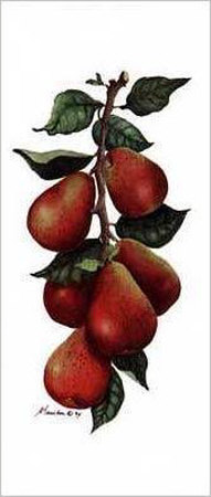 Pear Display I by Consuelo Gamboa Pricing Limited Edition Print image