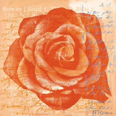 Rose In Orange by Anna Flores Pricing Limited Edition Print image