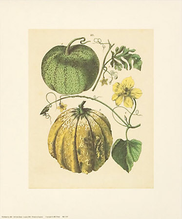 Gourdes by Cawler Pricing Limited Edition Print image