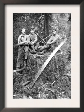 Stump by Clark Kinsey Pricing Limited Edition Print image