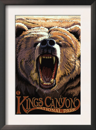 Kings Canyon Nat'l Park - Bear Roaring - Lp Poster, C.2009 by Lantern Press Pricing Limited Edition Print image
