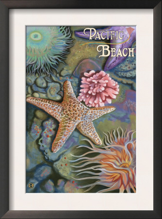 Tidepools - Pacific Beach, Washington, C.2009 by Lantern Press Pricing Limited Edition Print image