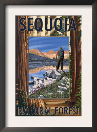 Sequoia National Forest, Ca Hiking Scene, C.2009 by Lantern Press Pricing Limited Edition Print image