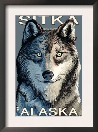 Sitka, Alaska - Wolf Up Close, C.2009 by Lantern Press Pricing Limited Edition Print image
