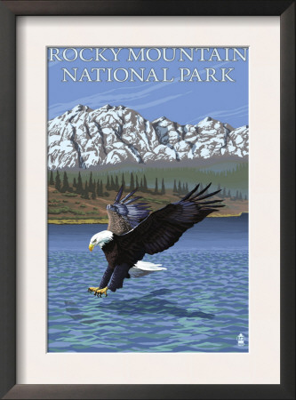 Rocky Mountain National Park, Co - Eagle Fishing, C.2009 by Lantern Press Pricing Limited Edition Print image