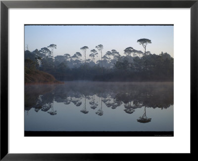 Fog During Sunrise, Dune Allen Beach by Jeff Greenberg Pricing Limited Edition Print image
