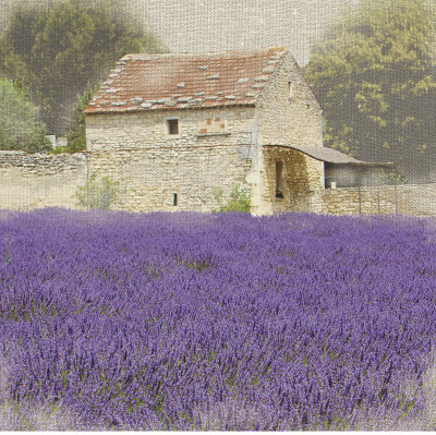 Tuscan Lavender by Bret Staehling Pricing Limited Edition Print image