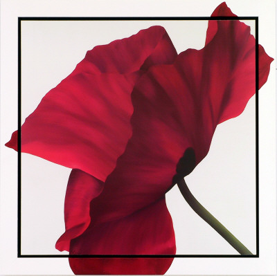 Papaver Ii by Yvonne Poelstra-Holzhaus Pricing Limited Edition Print image