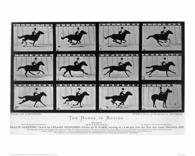 Movements Of A Galloping Horse by Eadweard Muybridge Pricing Limited Edition Print image