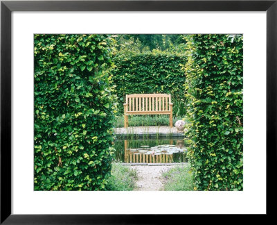 Bench Beside Formal Pond Carpinus Hedges, Path by Mark Bolton Pricing Limited Edition Print image