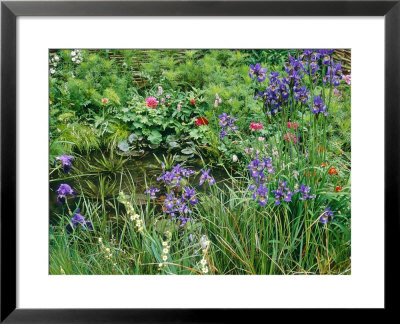 Small Pond With Persicaria, Iris, Stratiotes & Sisyrinchium Chelsea Flower Show 2000 by Mark Bolton Pricing Limited Edition Print image