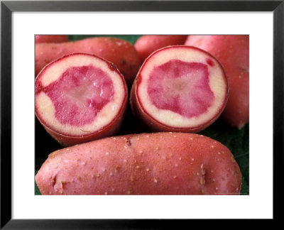 Potato Solanum Tuberosum (Highland Burgundy Red), Cut Potato by Chris Burrows Pricing Limited Edition Print image