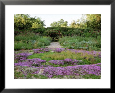 Chamomile & Thyme Carpet (Sticky Wicket, Dorset) by Carole Drake Pricing Limited Edition Print image