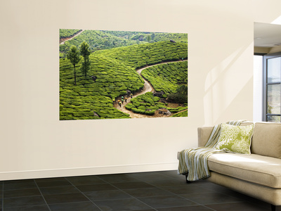 Tea Plantation Workers With Day's Harvest In Bags On Their Heads by Anders Blomqvist Pricing Limited Edition Print image