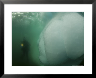 Diver And Iceberg, Antarctica by Tobias Bernhard Pricing Limited Edition Print image