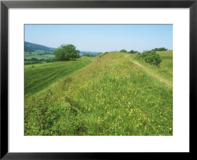 Hod Hill, England, Uk by David Boag Pricing Limited Edition Print image