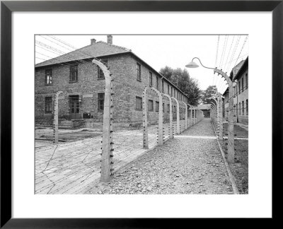 View Between Fencing To Prisoner Block, Auschwitz, Poland by David Clapp Pricing Limited Edition Print image