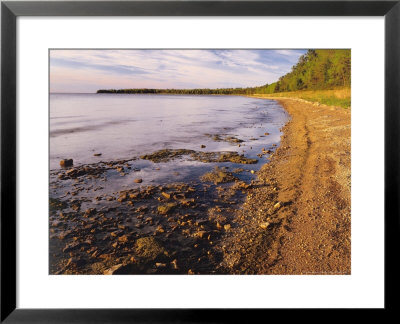 Morning Light On The Shore Of Green Bay At Europe Bay County Park, Wisconsin, Usa by Willard Clay Pricing Limited Edition Print image