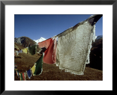 Buddhist Prayer Flags Covered In Ice, Nepal by Paul Franklin Pricing Limited Edition Print image
