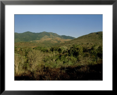 Spiny Desert, Madagascar by Patricio Robles Gil Pricing Limited Edition Print image