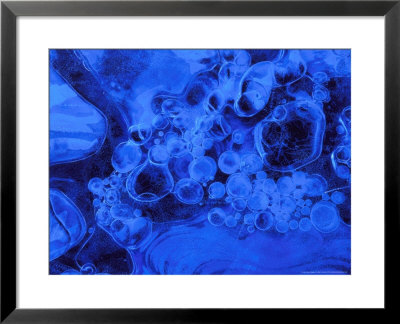 Air Bubbles Trapped In Ice by Mark Hamblin Pricing Limited Edition Print image
