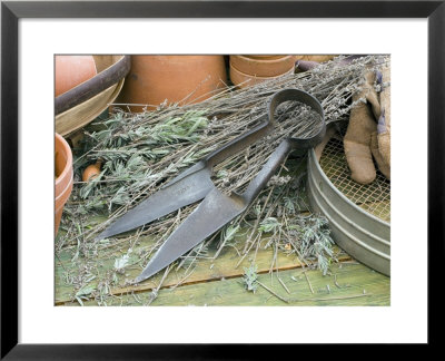 Topiary Shears, Gardening Gloves And Terracotta Pots On Potting Bench by Geoff Kidd Pricing Limited Edition Print image