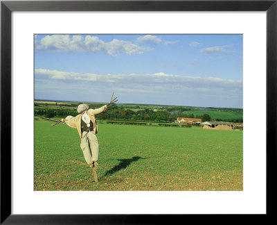 Scarecrow, North Norfolk by Chris Knights Pricing Limited Edition Print image