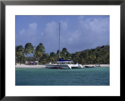 Daytrip Catamaran, Tobago Cays, Grenadines by Reid Neubert Pricing Limited Edition Print image