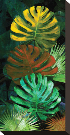 Tropical Monstera by Melinda Bradshaw Pricing Limited Edition Print image