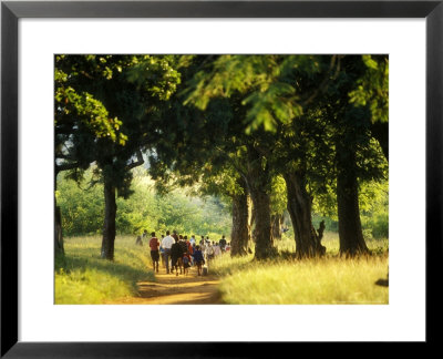 Zulu Students Walking To School, Near Eshowe, South Africa by Roger De La Harpe Pricing Limited Edition Print image