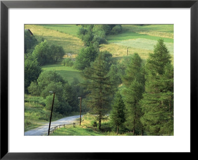 Lane Near The Polish Border, Near Zdiar, High Tatras, Slovakia by Upperhall Pricing Limited Edition Print image