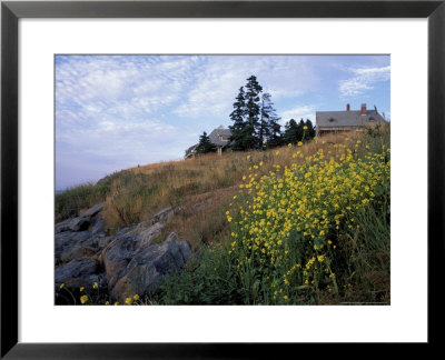 Houses, Maine, Usa by Jerry & Marcy Monkman Pricing Limited Edition Print image