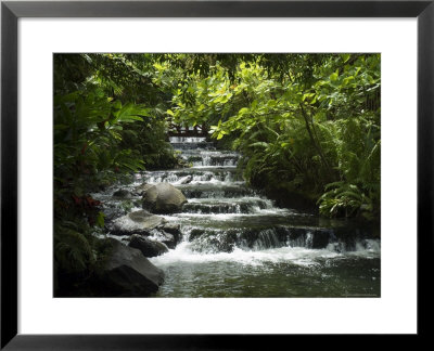 Tabacon Hot Springs, Volcanic Hot Springs Fed From The Arenal Volcano, Arenal, Costa Rica by Robert Harding Pricing Limited Edition Print image