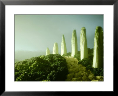 Landscape Made Of Green Vegetables by Hartmut Seehuber Pricing Limited Edition Print image
