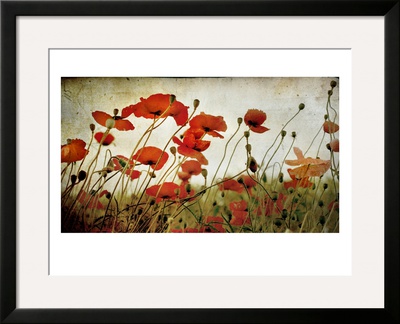 Orange Flower Patch by Mia Friedrich Pricing Limited Edition Print image