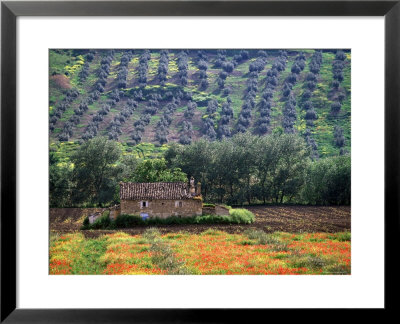 Landscape Of Andalucia, Spain by Peter Adams Pricing Limited Edition Print image