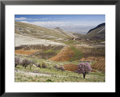 Niha, Bekaa Valley, Lebanon by Ivan Vdovin Pricing Limited Edition Print image